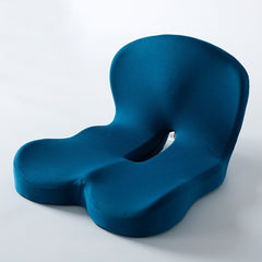 Memory Foam Backrest - All The Above