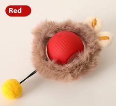 PurrPlay Self-Rolling Cat Toy Ball - All The Above