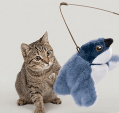 Flapping Bird Cat Toy - All The Above