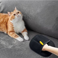Fur Remover Glove (Private Listing U1175793) - All The Above