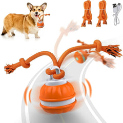 Interactive Pet Rolling Ball Toy USB Rechargeable - All The Above