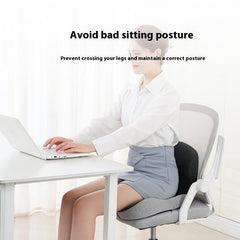 Memory Foam Backrest - All The Above