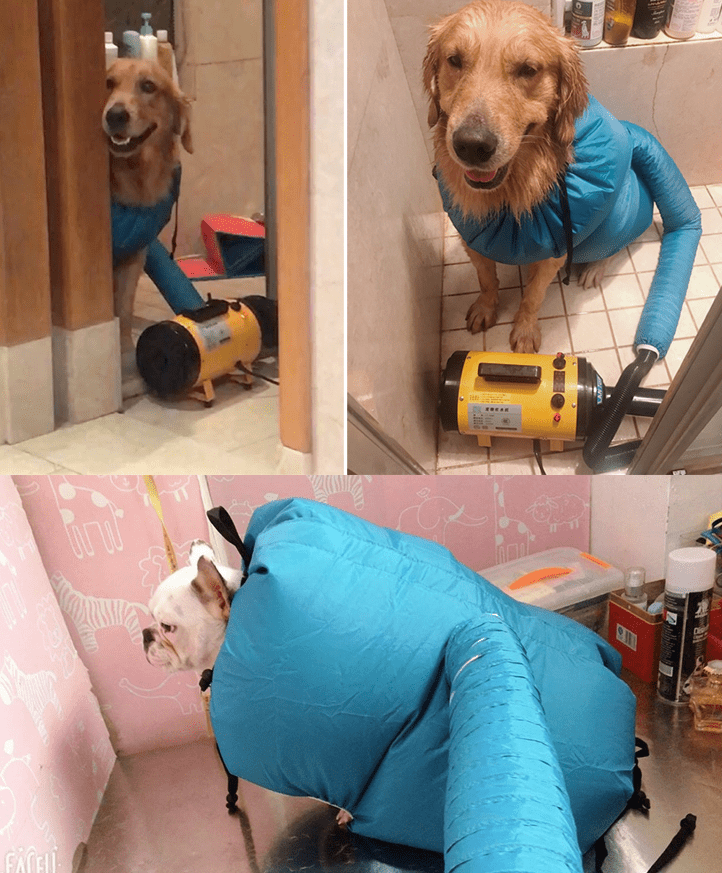 Pet Drying Box, Dryer, and Drying Bag - All The Above