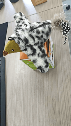 Plush Bird Pet Toy - All The Above