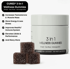 Shilajit 3-in-1 Gummies for Men - All The Above