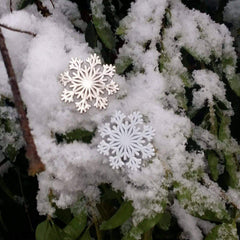Snowflake Pin - All The Above