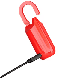 USB Charging Bag With Fingerprint Lock - All The Above
